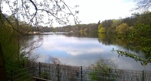 WP_20160409_14_12_35_Pro