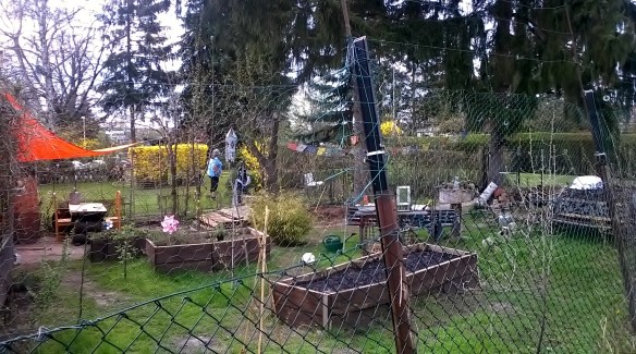 WP_20160409_14_48_01_Pro