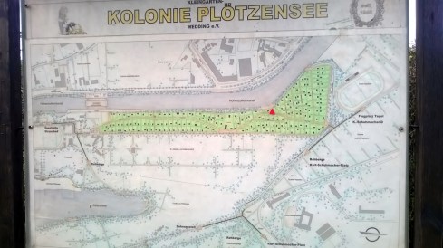 WP_20160409_14_48_46_Pro