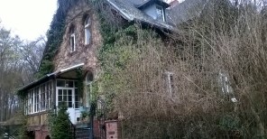 WP_20160409_15_39_38_Pro