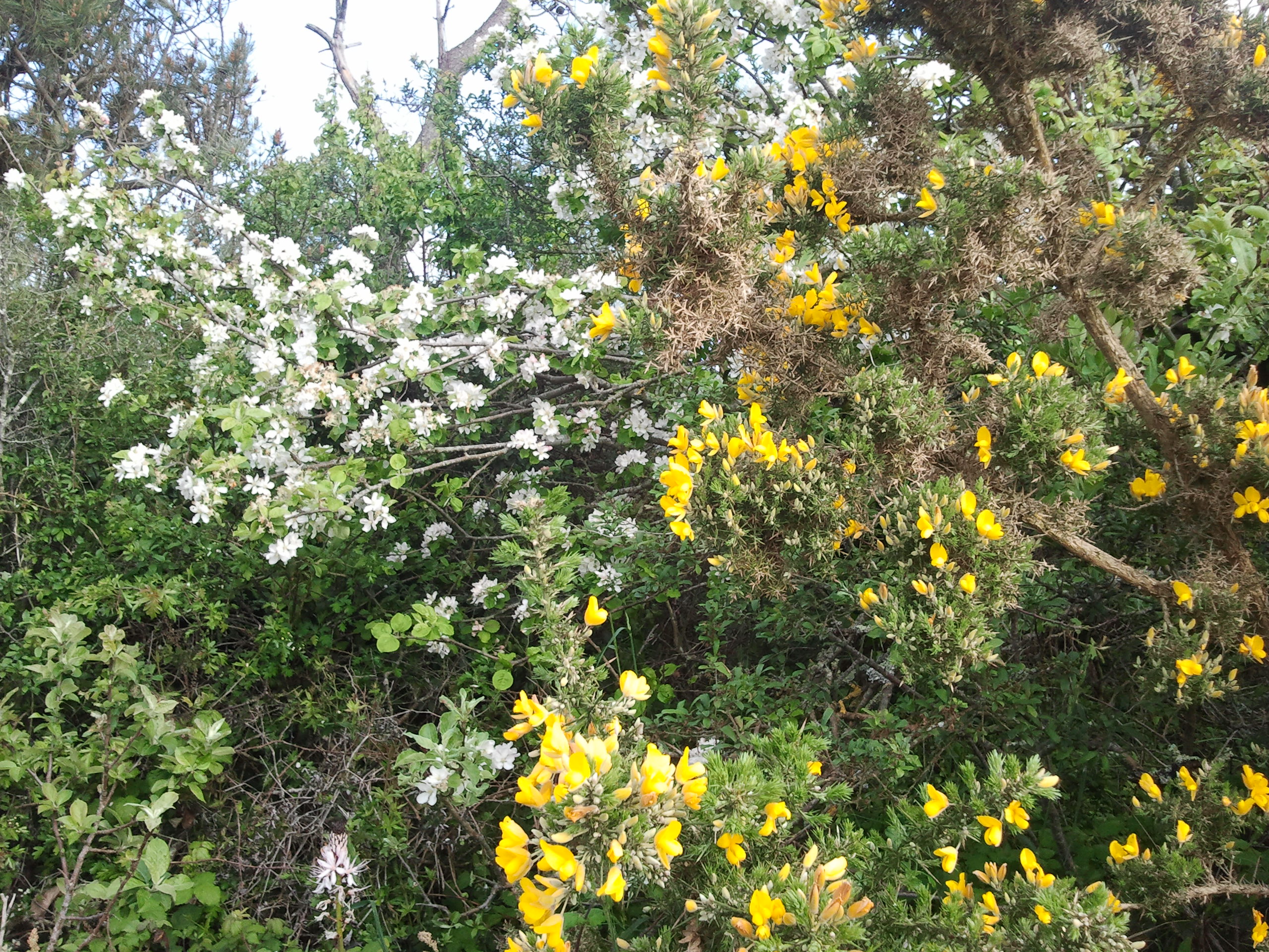 2013-05-15 18.35.38.jpg