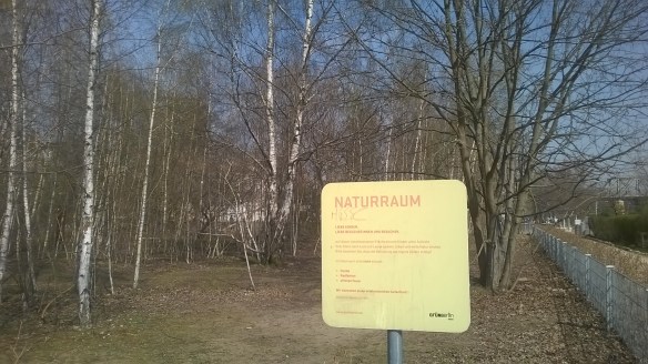 WP_20160405_12_19_40_Pro