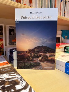 Puisqu'il faut partir, un roman pour les amateurs d'histoire, de romanesque et de suspense....