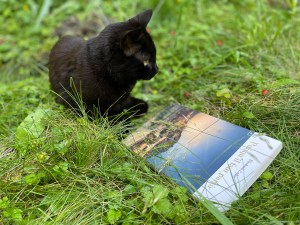 La chatte s'appelle Colette. Plus qu'un hasard, c'est une profession de foi pour les journalistes et auteur.es